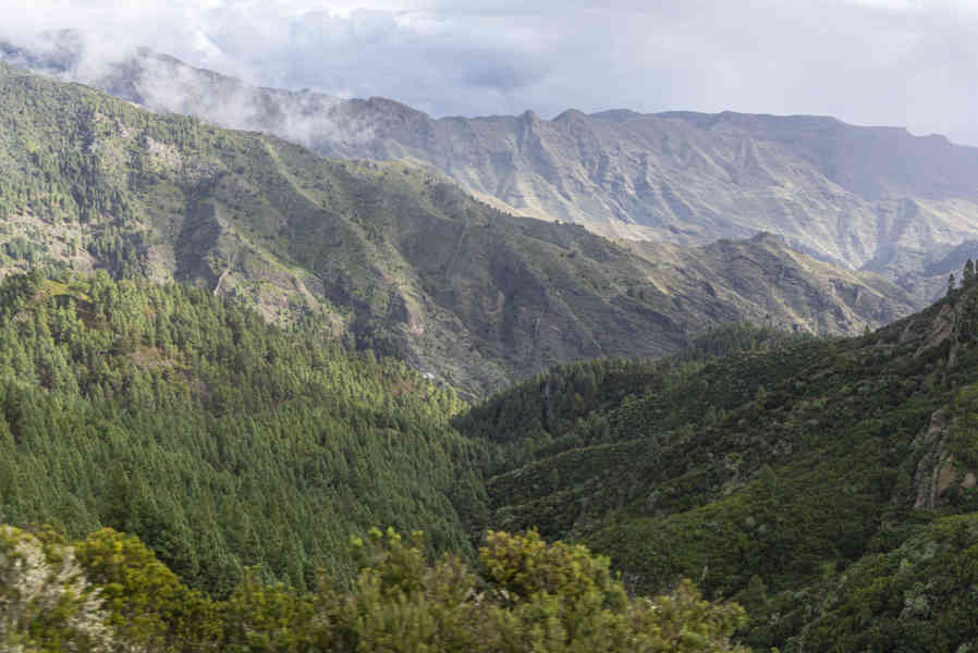 La Gomera 27 - parque nacional de Garajonay .jpg